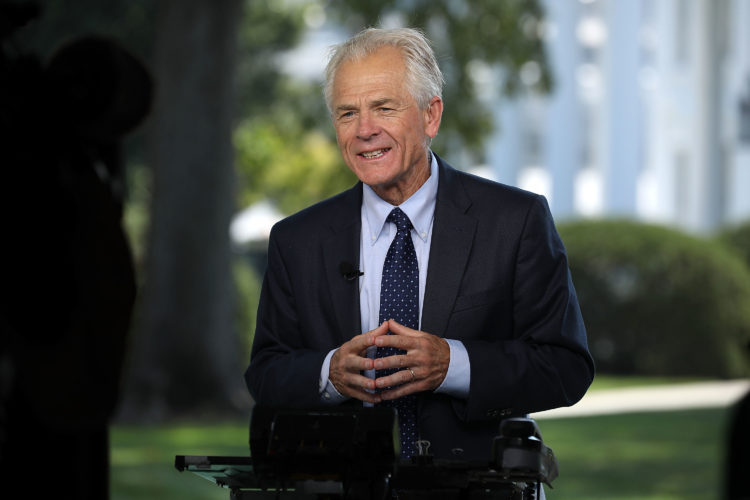 Peter Navarro (Assistant To The President For Trade And Manufacturing Policy) — $183,000