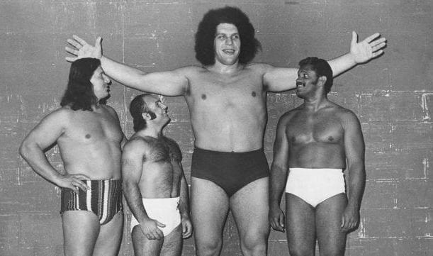 Andre The Giant – 7’4″, 520 lbs