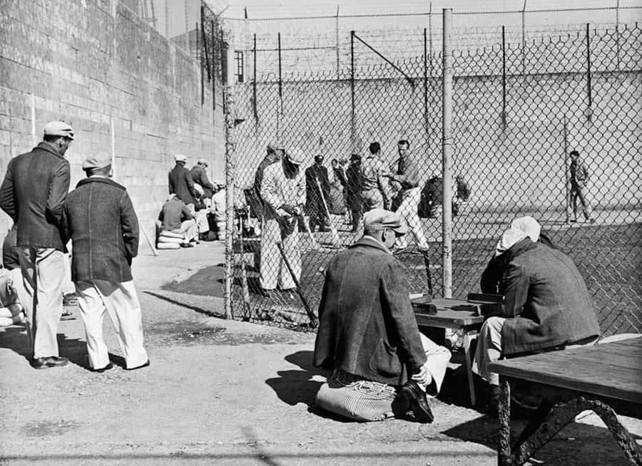 The Alcatraz Yard