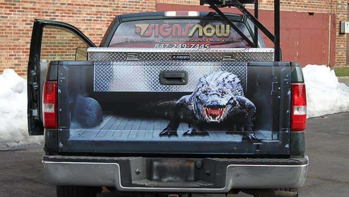 Alligator On A Truck